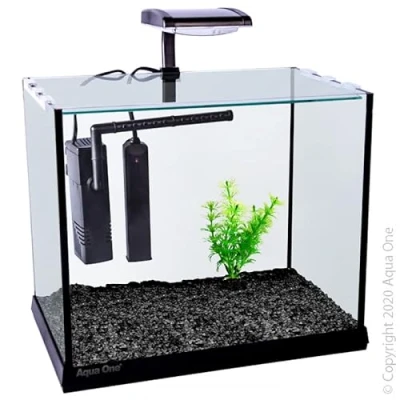 Image of Aqua One Betta Oasis 13L Aquarium with LED, Heater and Filter. 31x20x26cm
