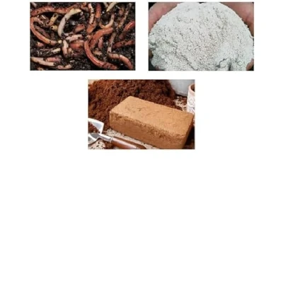 Image of Original Organics Basic Wormery Starter Kit
