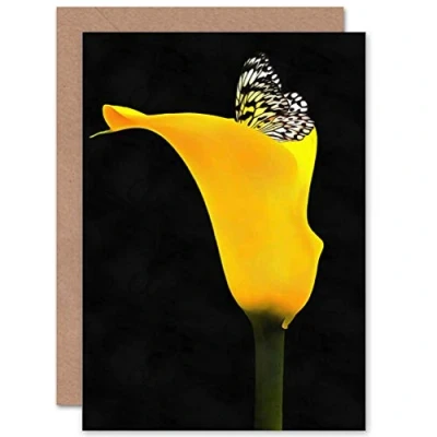 Image of Wee Blue Coo YELLOW FLOWER BLACK WHITE BUTTERFLY PHOTO BIRTHDAY BLANK GREETINGS CARD