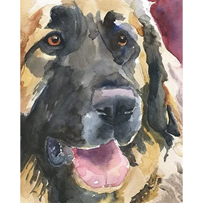 Image of Colorful Paint by Numbers Kits with Brushes and Acrylic Pigment DIY Canvas Painting for Kids Adults Beginner, Oil 16 x 20 inch Leonberger Dog animal frame