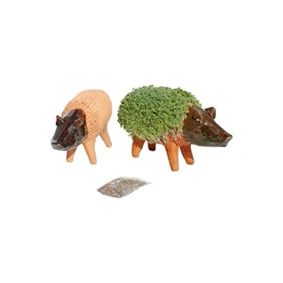 Image of Tumia LAC Grow Your Own Pig Cress Figure (Including Seeds) Fair trade from Mexico