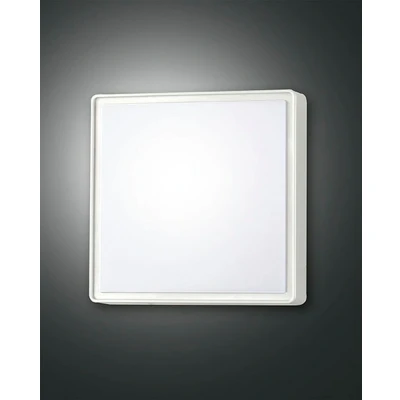 Image of Oban LED Outdoor Flush White Glass, IP65