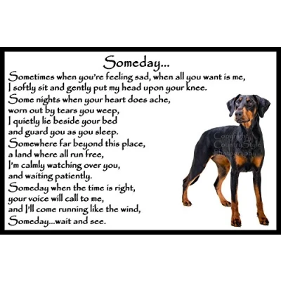 Image of Doberman Pinscher dog bereavement pet loss sympathy memorial Flexible Fridge Magnet Someday