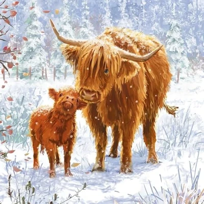 Image of Marie Curie Charity Highland Cow Christmas Cards Pack of 10 with Envelopes 14x14cm FSC Board Made in UK