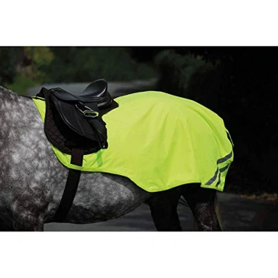 Image of Equi Flector Shires Reflective Mesh Exercise Sheet in Yellow 60,