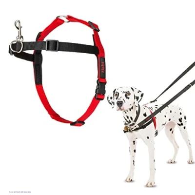 Image of HALTI Front Control Harness, Size Medium, Bestselling Professional Dog Harness to Stop Pulling on the Lead, Easy Use, Anti Pull Training Aid, Leading No for Medium Dogs