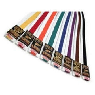 Image of Playwell Martial Arts 280CM White Belt With Coloured Stripe (Orange)