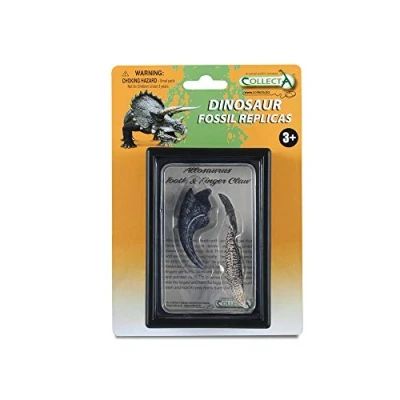 Image of CollectA Tooth &amp; Finger Claw of Allosaurus Box Set