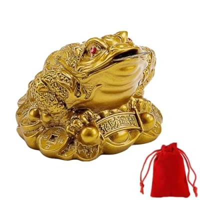 Image of WYSUMMER Lucky Frog Coin, Feng Shui Toad Coin Money Chinese Charm for Prosperity Home Decoration Gift (6cm x 6cmx5cm)