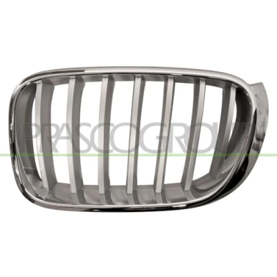 Image of 51137367421 Radiator Grill PRASCO BM8062014 Left Chromed BMW: X3