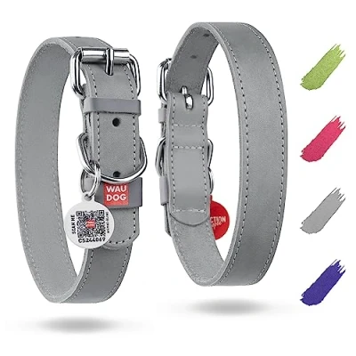 Image of WAUDOG Long Lasting Leather Dog Collar for Large Dogs, Medium &amp; Small Dogs Adjustable Classic Puppy Collars Breed Boy Girl with Durable Buckle, D Ring QR Tag