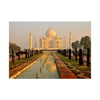 Image of Wee Blue Coo Photo Landmark Building Taj Mahal Misty Morning India Wall Art Print