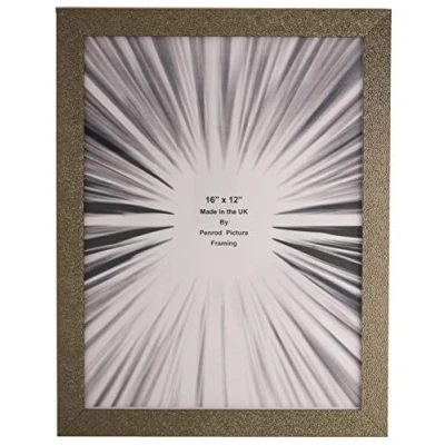 Image of Penrod Picture Framing Charleston Shiny Sparkly Embossed Pewter 16x12 inch photo frame with mirror effect edge.