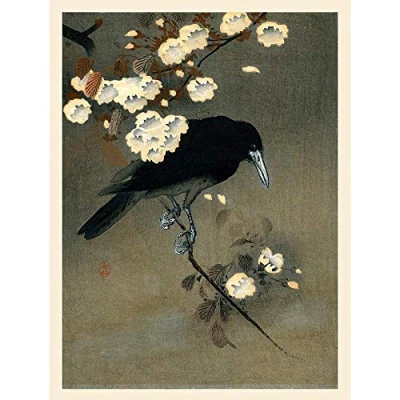 Image of Wee Blue Coo Koson Crow &amp; Blossom Art Print Poster Wall Decor 12X16 Inch