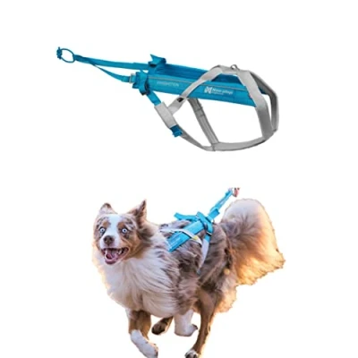 Image of Non stop dogwear Freemotion Harness 5.0 Dog Pulling for Sports like Running, Biking and Skiing with Dogs, Professional Adjustable Harness, Blue/Gray, Size 3