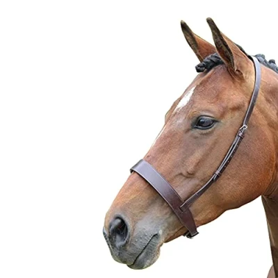 Image of Shires Blenheim Cavesson Noseband Havana Full