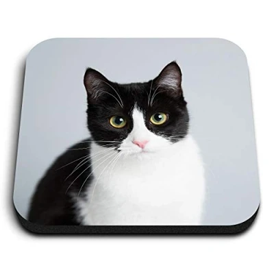 Image of 1 x Square MDF Fridge Magnet Black &amp; White Cat Kitten Pet 15634