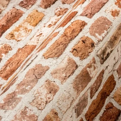 Image of A.S. Création The Bos 388291 Non Woven Wallpaper 10.05 m x 0.53 Made in Germany Red Orange