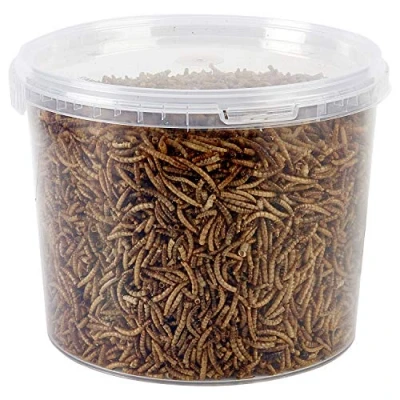 Image of Garden Ting Dried Mealworms Tub, 3 Litre