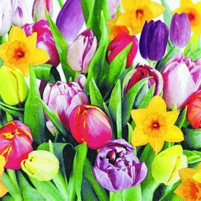 Image of 20 Napkins Daffodil and Tulips for Spring Table Decoration 33 x cm