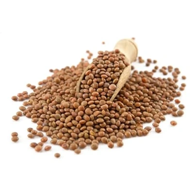 Image of Sussex Wholefoods Organic Brown Lentils 500g