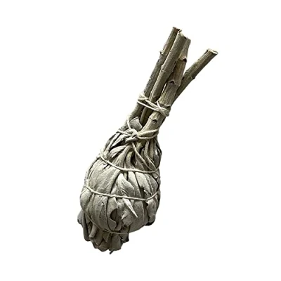 Image of Torch White Sage 4&quot;