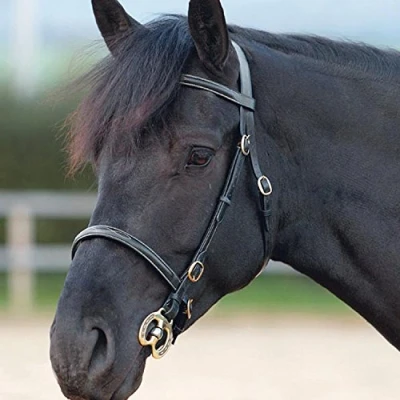 Image of Shires Blenheim Fancy Stitched Inhand Bridle Black Pony
