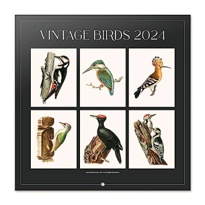 Image of Grupo Erik Vintage Birds Wall Calendar 2024 12&quot; x 12 Month Planner Square Family Bird