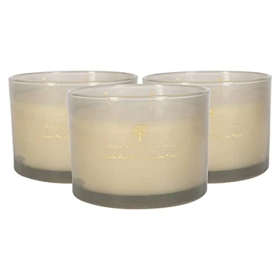 Image of Nicola Spring Soy Wax Scented Candles 350g Green Pomelo &amp; Passion Fruit Pack of 3