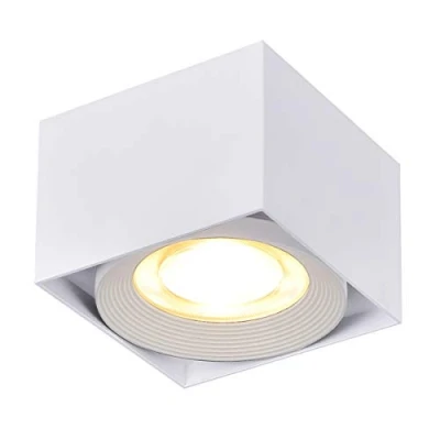 Image of Dr.lazy Indoor 10W LED Adjustable Ceiling Spots lamp Light Spotlight Surface Mounted spotlights Downlight Square Interior Light, 10X10x7CM (White 3000K)