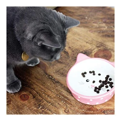Image of Happy Pet Polka Dot Cat Bowl (One Size) (Pink)