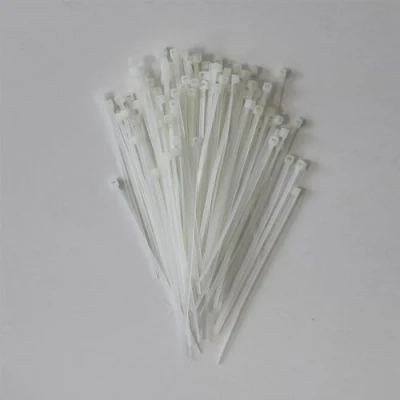 Image of Schneider Electric Thorsman Cable Ties, Pack of 100, Made Polyamide, 100 x 2.5 mm, Clear Colour, Various Sizes, Smooth Rounded Edges, Super Durable, Self Locking Ties for Management