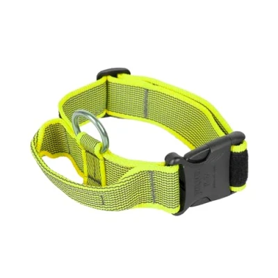 Image of Julius K9 Color and Gray Collar with Handle, Safety Lock Interchangeable Patch, 40 mm (38 53 cm), Neon