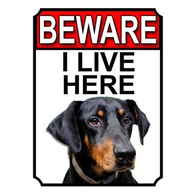 Image of Shawprint BEWARE I LIVE HERE METAL GATE SIGN DOBERMAN PINSCHER 200MM X 10MM (1059H1)