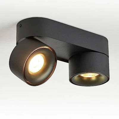 Image of Budbuddy 2X12W LED Ceiling Spotlights 2 Swivel Spotlamps Rotatable Spots Black Lights Modern for Interior Corridor, Living Room Office Shop and More 3000K