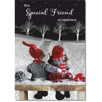 Image of doodlecards Special Friend Christmas Card Couple at Night Medium Size for with Plain Envelope