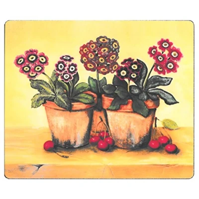 Image of Lady Clare Auricula Coasters Set of 6
