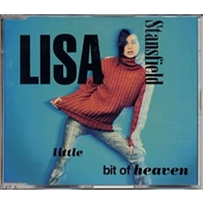 Image of Lisa Stansfield Little Bit Of Heaven 1993 UK CD single 74321 178202