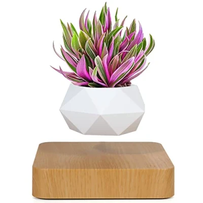 Image of Levitating Air Bonsai Pot, Rotation Flower Pot Planters, Magnetic Levitation Suspension Floating Potted Plant Home Desk Decor in Pots &amp; Planters from Garden on (Light Color)
