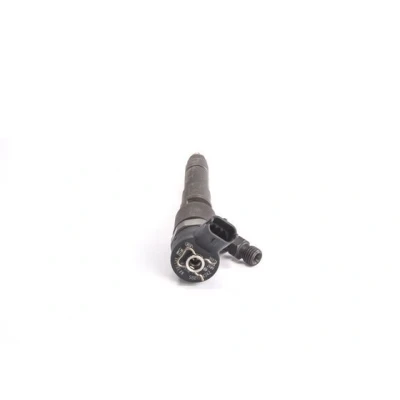 Image of K5801594342 Injectors BOSCH 0 445 110 520 Common Rail (CR) with seal ring PEUGEOT: Boxer Van, Minibus, FIAT: Ducato III Platform / Chassis