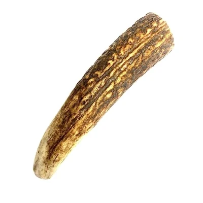 Image of Split Antler Dog Chews Small x 1 (Weight 25 37g), (Size May Vary) Premium Quality Natural Chew Treat Hypo Allergenic SHC