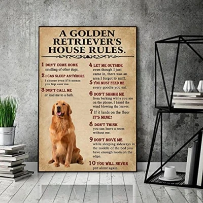 Image of Bioprocess Golden Retriever House Rules Funny Dog Decor Poster Wall Art Metal Sign 8X12 Inches
