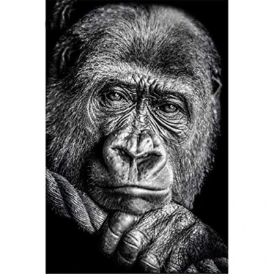 Image of DIY 5D Diamond Painting Kits for Adults/Kids Gorilla Full Drill Embroidery Crystal Rhinestone Handmade Canvas Paintings Pictures Arts Craft Home Wall Decor