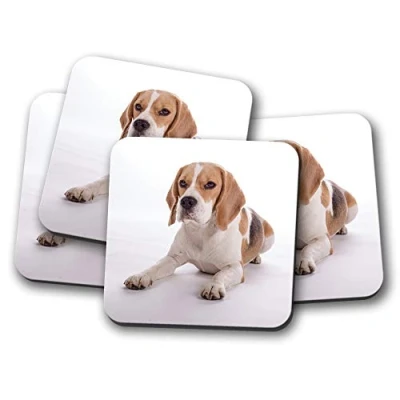 Image of 4 Set Beautiful Beagle Dog Coaster Puppy Hound Cute Pet Animals #15524