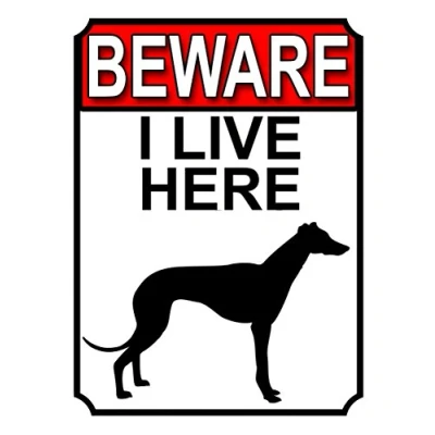 Image of BEWARE I LIVE HERE METAL GATE SIGN DOG 200MM X 150MM (1525H1)