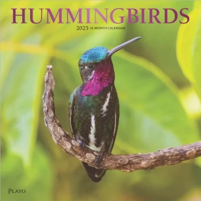 Image of Hummingbirds 2025 12 x 24 Inch Monthly Square Wall Calendar Foil Stamped Cover Plato Animals Wildlife