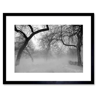 Image of Wee Blue Coo Nature Landscape Forest Snow Fog Ice Winter Black White Framed Wall Art Print
