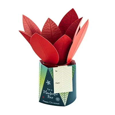 Image of Hallmark Christmas Card for Both Contemporary 3D Pop Up Plant Design