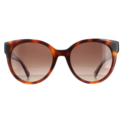 Image of Tommy Hilfiger TH 1885/S 05L HAVANA 54/20/140 WOMAN Sunglasses