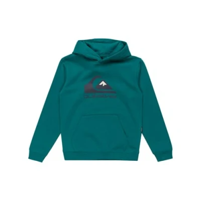 Image of Quiksilver BIG LOGO Hoodie Youth Unisex for kids, Size: 14y, Teal green